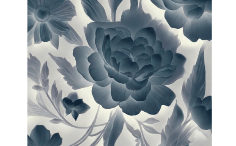 The Chiaroscuro Anthology